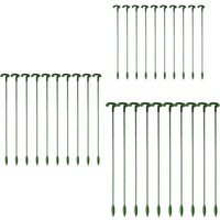 30 pieces garden plant plugs, single stems, flower plugs, orchid, peony, lily, rose