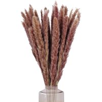 Serbia - 30pcs Herbes de la Pampas Sechees Decoration 60cm Bouquet Fleurs Séchées Natur Deco Brun Phragmites Pampas Artifici Plante pour Mariage Vase
