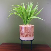 Leaf - 35cm Artificial Grass Plant with Contemporary Ceramic Planter and Metal Stand set