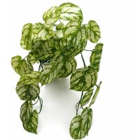 35cm Artificial Trailing Light Green Plant
