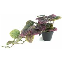 35cm Artificial Trailing Purple Potted Pothos Plant