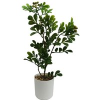 45cm Artificial Aglaia Odorata Bonsai Ficus Tree
