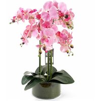 50cm Artificial Orchid with Glass Planter - Pink