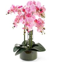 50cm Artificial Orchid with Glass Planter Pink