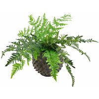 50cm Luxury Artificial Evergreen Fern Plant