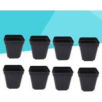 50 Pack Black Seedling Pot - Square Plastic Plant Pots - Small Flower Pot for Indoor and Outdoor (Black/6 x 6 x 6.5 cm)