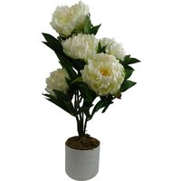 55cm Artificial White Peony Plant