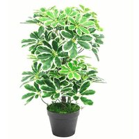 Leaf - 55cm Variegated Artificial Schefflera Arboricola Plant