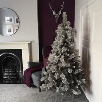 Samuel Alexander - 6ft (180cm) Premier Snow Fir Grey pvc Christmas Tree with 587 Cashmere Tips
