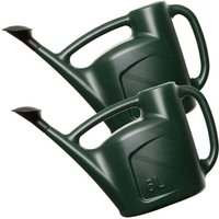 6L Green Garden Watering Can With a Detachable Rose Head Sprinkler and Durable Handle
