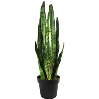 70cm Artificial Sansevieria Zeylanica Plant