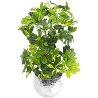 Leaf - 75cm Artificial Arboricola Gold Capella Plant Silver Metal Planter
