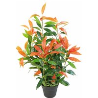 80cm Artificial Red and Green Ficus Plant