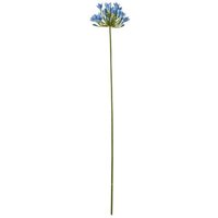 Agapanthus (Single Stem Flower) - Plastic - L15 x W15 x H75 cm - Blue