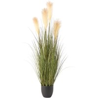Artificial Plant PAMPAS GRASS 120 cm Green