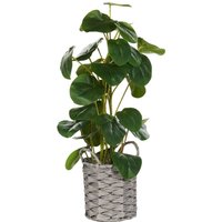 Artificial Plant KIBETI 55 cm Green