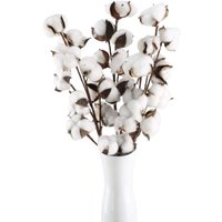 Branch Natural Cotton Flower 10 Heads with Stems Artificial Dried Cotton Flowers Fake Plant Natural Decoration for Interior Vase Balcony Wedding Home