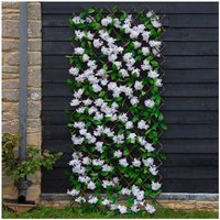 Smart Garden 60cm X180cm Expanding Cherry Blossom Flower Leaf Trellis Bin Screen Smart Garden 60cm X180cm Expanding Cherry Blossom Flower Leaf Trellis Bin Screen