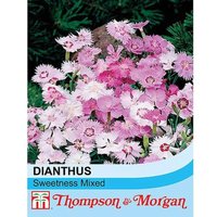 Thompsonandmorgan - Dianthus Plumarius Sweetness Mixed 1 Seed Packet (20 Seeds)