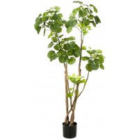 Artificial Polyscias Tree 135 cm 420292 Emerald