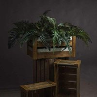 Hill Interiors - Fern Bunch Artificial Plant - Fabric/Plastic - L80 x W57 x H60 cm - Green