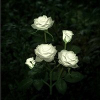 Flower Shaped Solar Light for Garden Decoration - White