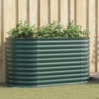 Garden Raised Bed Green 160 x 80 x 81 cm Steel Vidaxl