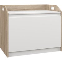 HOMCOM Storage Bench Lift Top Cabinet Accent Seat Storage Box for Entryway