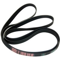 Tumble Dryer Drive Belt for Hotpoint/Indesit Tumble Dryers and Spin Dryers