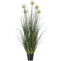 Large Agapanthus Plant in Pot - Plastic - Height 120 cm - White