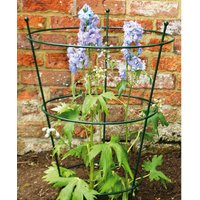 Large Peony Support (Pack of 2) - Steel - L50.8 x W50.8 x H78.7 cm - Bare Metal/Ready to Rust