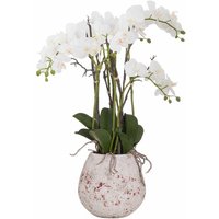 Large Stone Potted Orchid with Roots Artificial Flower - L60 x W60 x H76 cm