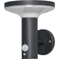 Litecraft - Uris Outdoor Solar Powered Wall Light With pir Motion Sensor - Black
