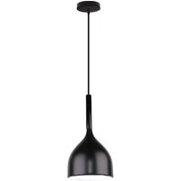 Wottes - Modern Simple Pendant Ceiling Lamp Creative Indoor Hanging Light Metal Chandelier Black