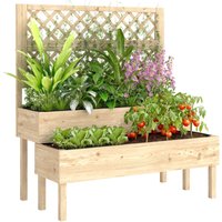 Outsunny 2-Tier Raised Garden Bed with Trellis for Climbing Plants