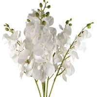 Leaf - Pack of 6 x 100cm Artificial Phalaenopsis Orchid White Stem