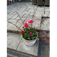 Paris Peony Plant Support - Steel - H81.3 cm - Bare Metal/Ready to Rust