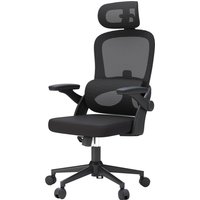 Sihoo M102c Ergonomic Mesh Office Chair, High Back Desk Chair With 3d Armrests, Up&down Lumbar Support, Swivel Computer Task Chair, Black