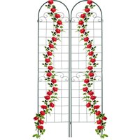 Relaxdays - Garden Trellis, Set of 2, HxW 220 x 50 cm, Metal, Support for Climbing Plants, Ground Stake, Rose Frame, Green