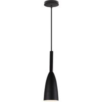 Modern Ceiling Pendant Light Metal Indoor Hanging Lamp Black Adjustable Chandelier