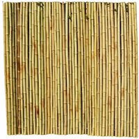 Roll Screen for Garden Fencing - Bamboo - L200 x W3 x H200 cm - Moso