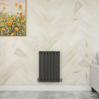 SKY Bathroom 600x413mm Anthracite Single Horizontal Oval Column Designer Central Heating Radiator