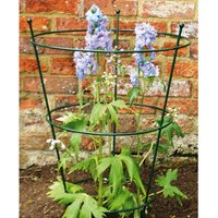 Small Peony Support (Pack of 2) - Steel - L40.6 x W40.6 x H63.5 cm - Bare Metal/Ready to Rust