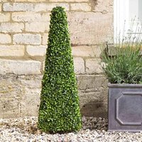 Smart Garden - Boxwood Topiary Obelisk 60cm Decorative Artificial 5045030