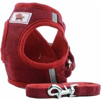Hoopzi - Soft Training Harness Vest Mesh Fabric Dog Vest Harnesses for Puppy, Cats, Small Animals PS042 (s, Red)