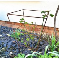 Square Peony Plant Support (Pack of 2) - Steel - Bare Metal/Ready to Rust