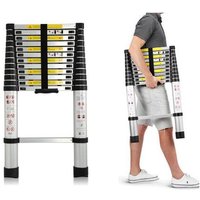 Telescoping Ladder, Portable Telescopic Extension 3.8M Tall Multi Purpose Loft Ladder, Folding Retractable Library Ladder with Adjustable Step for