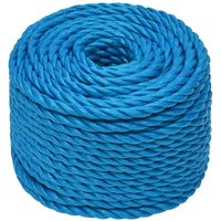 Work Rope Blue 10 mm 25 m Polypropylene Vidaxl