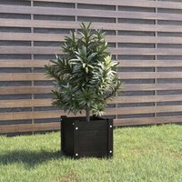 Garden Planter Black 31x31x31 cm Solid Pinewood Vidaxl