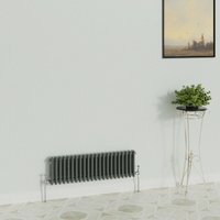 Warmehaus - Traditional Anthracite 2 Column Radiator 300x1010mm